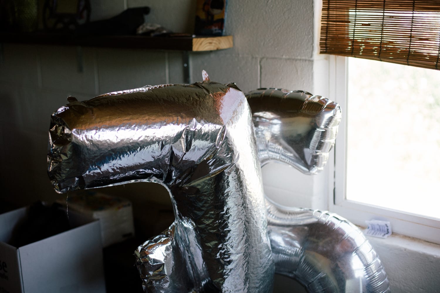 View More: http://chelsealainefrancis.pass.us/sheshredssxsw