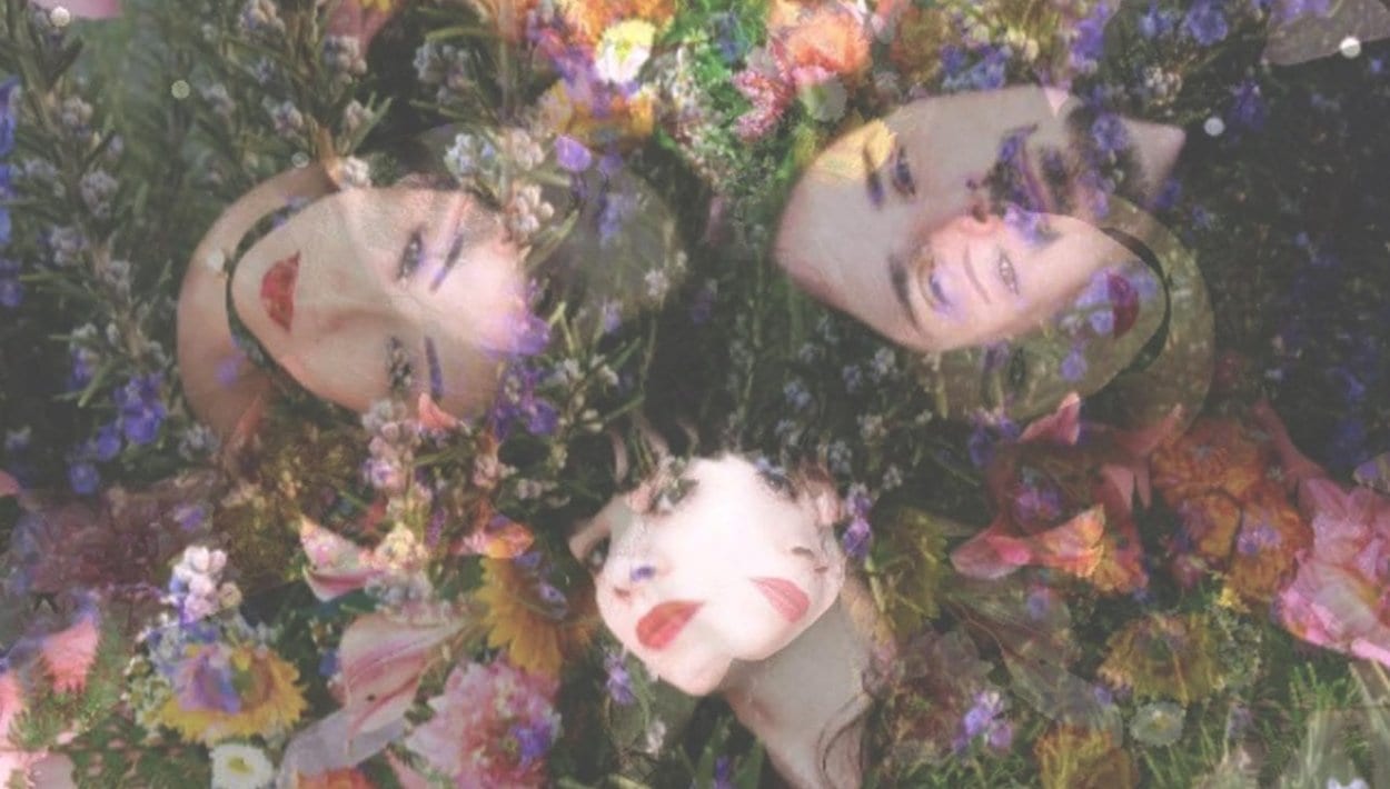 TheStargazerLilies PhotoAimeeHerringRyanEditedbyCrystalJoyTuliszewski e1464670066980