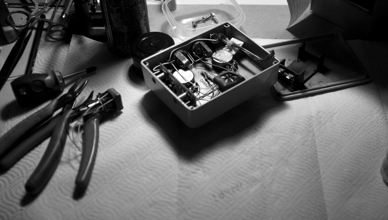 sheshreds frantone 81