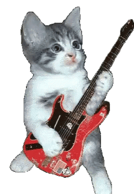 guitar cat transparent 1